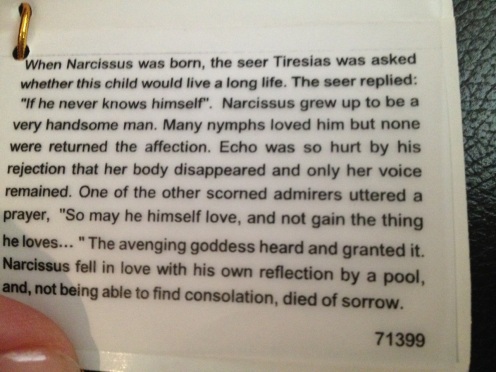 Narcissus Card